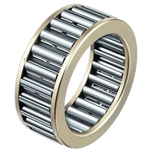 Needle Roller Bearing